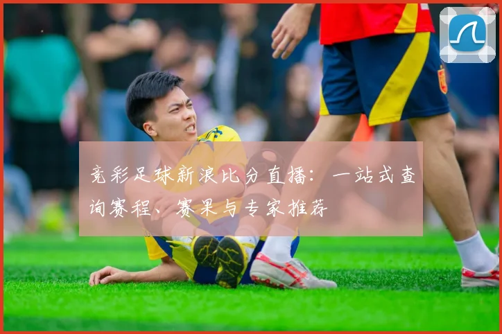 竞彩足球新浪比分直播：一站式查询赛程、赛果与专家推荐