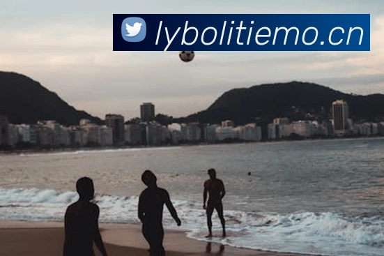 开云app苹果版官网入口服务体系