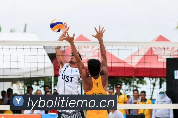 多媒体互动体验