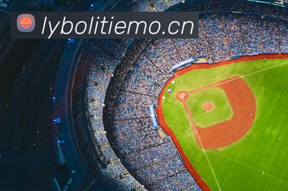 开云app苹果版官网入口APP 体育赛事宣传图